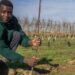 Decarbonisation Drive Restores Nigeria’s Vanishing Tree Planting Culture