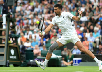 Djokovic Wins Wimbledon Opener