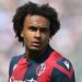 Man Utd Sign Dutch Striker Zirkzee From Bologna For £36.5m 5 Man Utd Sign Dutch Striker Zirkzee From Bologna For £36.5m