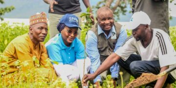 50,000 Target: First Bank, NCF Extend Tree Planting To FCT