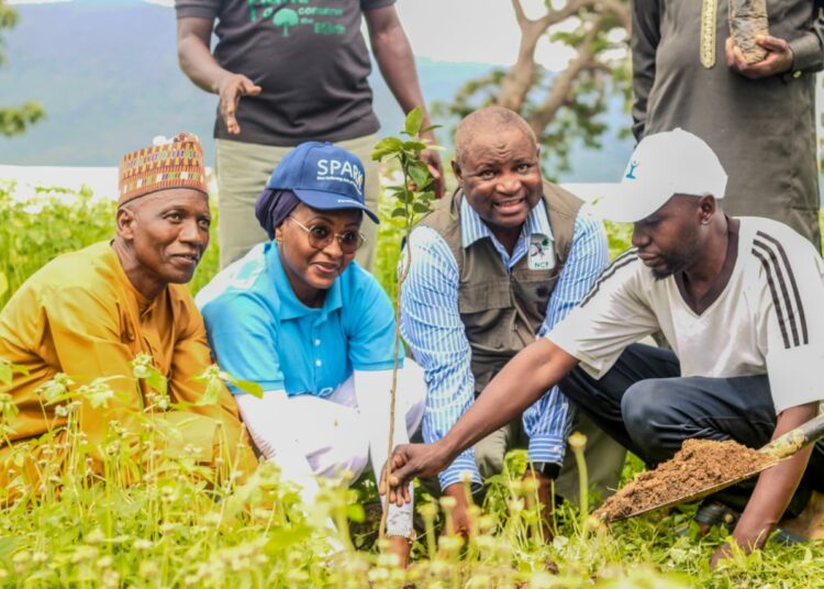 50,000 Target: First Bank, NCF Extend Tree Planting To FCT