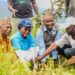 50,000 Target: First Bank, NCF Extend Tree Planting To FCT