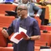 Senate Did Not Reject Electronic Transmission Of Results — Abaribe 5 South East Lawmakers Demand Arrest Of #Igbomustgo Campaigners