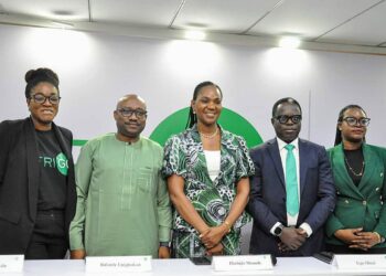 Afrigopay Starts Instant Credit On POS For Merchants