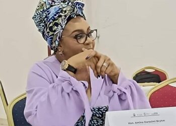 Political Office: PDP Women Leader Calls For More Inclusion
