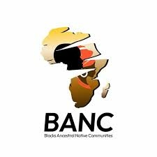 Japa: Foundation To Launch Action Plan To Tackle Irregular Migration 1 BANC