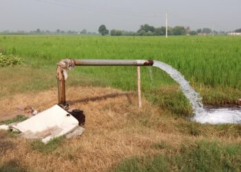 Borno Drills Tube-wells For Irrigation Farming, To Begin Tomato Processing