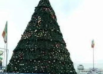 FCT Plans Tallest Christmas Tree In Africa
