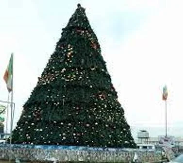 FCT Plans Tallest Christmas Tree In Africa 1 Christmas tree 1