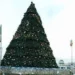 FCT Plans Tallest Christmas Tree In Africa 5 FCT Plans Tallest Christmas Tree In Africa