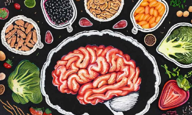 brain