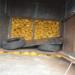 Customs Seizes 1,153 Marijuana Parcels In Kwara
