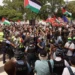 Democrats Hold Convention Amid Pro-Palestinian Protests