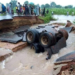 Flood Cuts Off Bauchi-Kano Highway 4 Flood Cuts Off Bauchi-Kano Highway