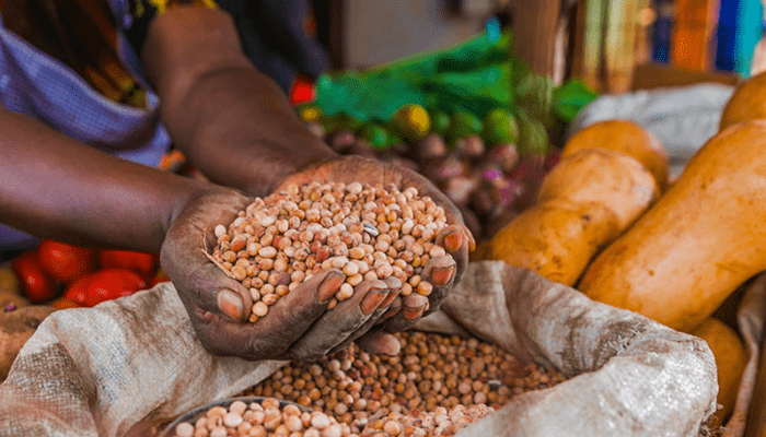 Food Inflation: Yobe Govt Distributes Weighing Scales To Marketers, Traders 1 Food Production