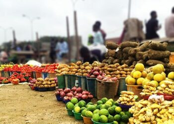 Presidential Food Security Unit Engages Nasarawa, Niger, FCT Stakeholders