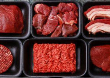 Seven Tips On Foods That Can Increase Uric Acid Levels