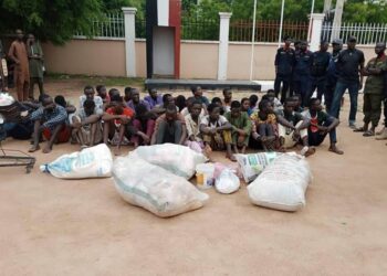 NSCDC Arrests 32 Over Alleged Looting In Kano