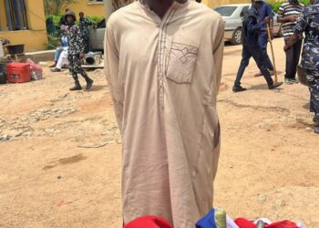 Protests: Police Arrest Producer Of Russian Flags, 30 Others In Kano