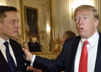 Trump To Offer Cabinet, Advisory Role To Elon Musk If Re-elected