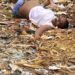 Suspected Ritualists Kill 21-yr-old Female Student In Kwara 5 Suspected Ritualists Kill 21-yr-old Female Student In Kwara