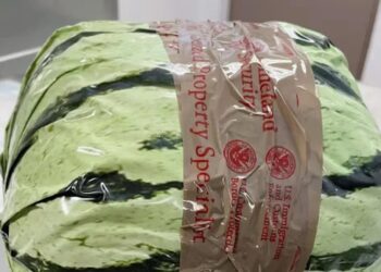 US Customs Discovers $5m Meth Disguised As Watermelon Shipment