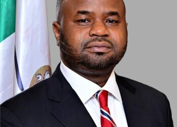 CSOs Laud FIRS Boss, Adedeyi On Nigeria’s Crypto Tax