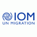 IOM Chief, NAPTIP, Journalists Share Strategies To Tackle Irregular Migration