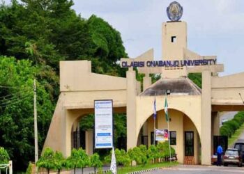 Varsity Don Asks Government To Tackle Cyber Bullying, Fake News