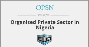 Organised Private Sector Says N70,000 Minimum Wage Unsustainable 1 Organised Private Sector of Nigeria