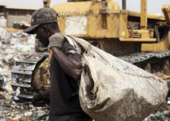 Groups Move To Incorporate Scavengers Into Mainstream Economy