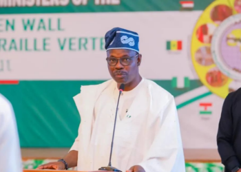 Nigeria’s Elephant Population Under Severe Threat  – Minister