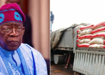 Tinubu Donates Trucks Of Rice, Fertiliser To Less-privileged In Gombe