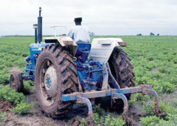 Large-scale Farms Abandoned As Insecurity Escalates In North