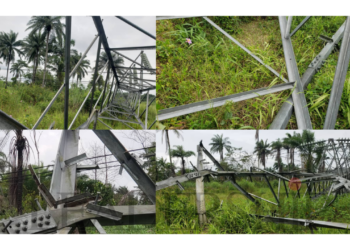 PICTORIAL: Darkness Looms As Vandals Destroy 13 Towers On Rivers-Bayelsa 132KV Transmission Line