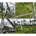 PICTORIAL: Darkness Looms As Vandals Destroy 13 Towers On Rivers-Bayelsa 132KV Transmission Line 5 PICTORIAL: Darkness Looms As Vandals Destroy 13 Towers On Rivers-Bayelsa 132KV Transmission Line