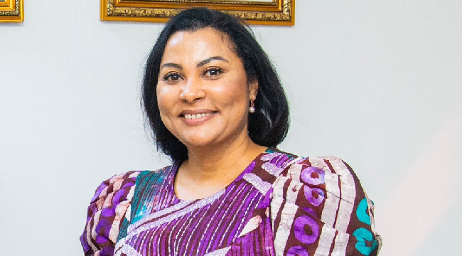 Nigeria Loses $17.72bn To Illicit Financial Flows 1 Uzoka-Anite