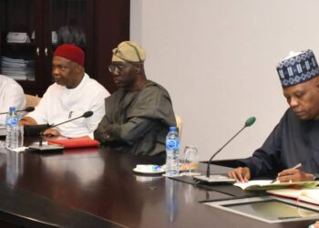 Federal Gov’t Targets 1.4m Jobs Annually Through Cotton Industry Revival