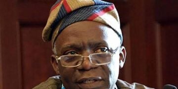 fashola Military Takeover Demands Dangerous For Nigeria — Falana