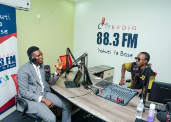 Amb Adeniran Urges Youth Inclusion, Entrepreneurship