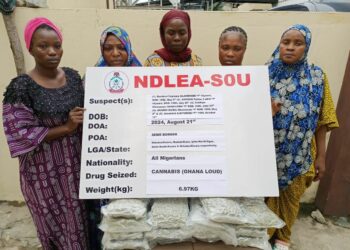 PICTORIAL: NDLEA Intercepts N2.2bn Codeine Bottles At Lagos Port