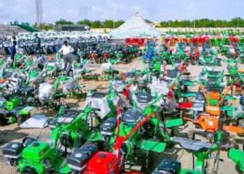 Agric Empowerment: Yobe Farmers Eye Bumper Harvest Over Fertiliser, Other Supports