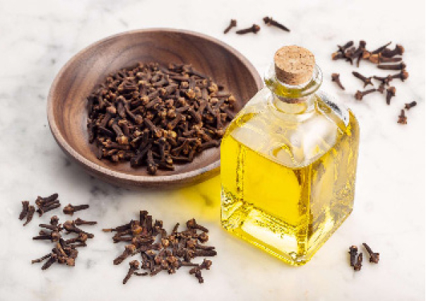 Will You Try Alternative Medicine? 1 alternative traditional medicine