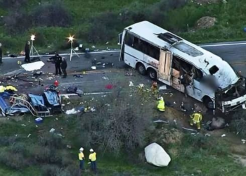 10 Killed, 35 Injured As Zimbabwean Bus Crashes In South Africa