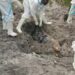 A'Ibom Police Uncover Mass Grave, Exhume Headless Bodies Of Abducted Vigilantes 5 A’Ibom Police Uncover Mass Grave, Exhume Headless Bodies Of Abducted Vigilantes