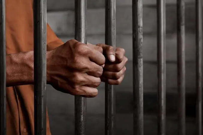 4 Jailed For Issuing 2,000 Fake Marriage Certificates 1 driyz5rfalrlix5itaub