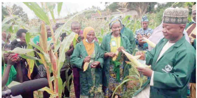 Kwara Polytechnic