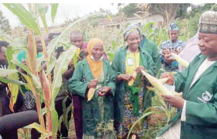 Kwara Polytechnic