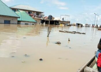 Flood Destroys 200 Houses, Shops In Yobe