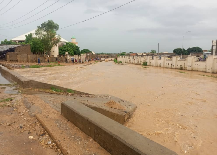 Flood Kills 24